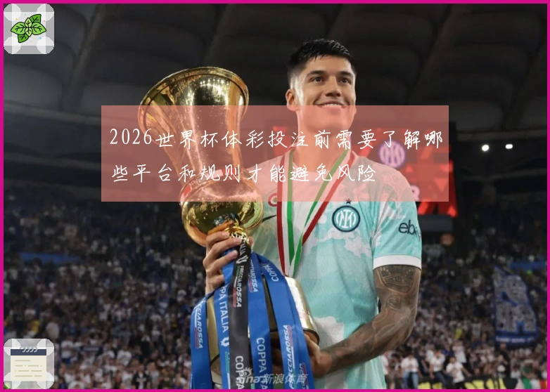 2026世界杯体彩投注前需要了解哪些平台和规则才能避免风险