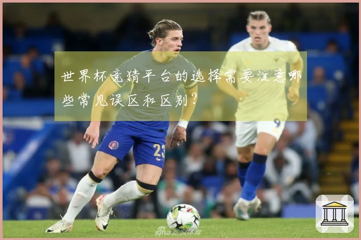 世界杯竞猜平台的选择需要注意哪些常见误区和区别？