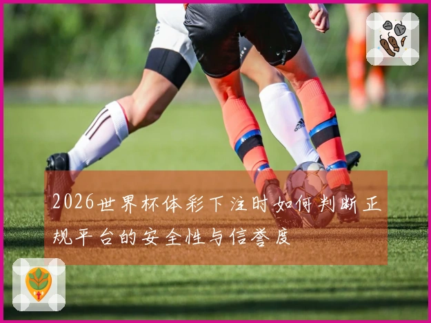 2026世界杯体彩下注时如何判断正规平台的安全性与信誉度