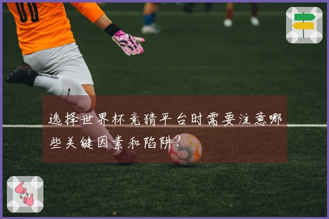 选择世界杯竞猜平台时需要注意哪些关键因素和陷阱？