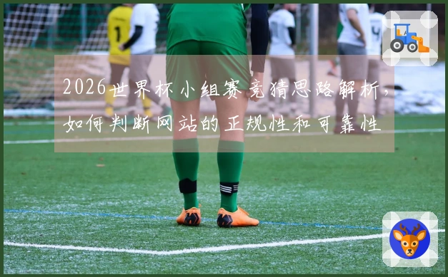 2026世界杯小组赛竞猜思路解析，如何判断网站的正规性和可靠性
