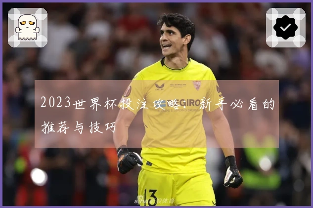 2023世界杯投注攻略：新手必看的推荐与技巧