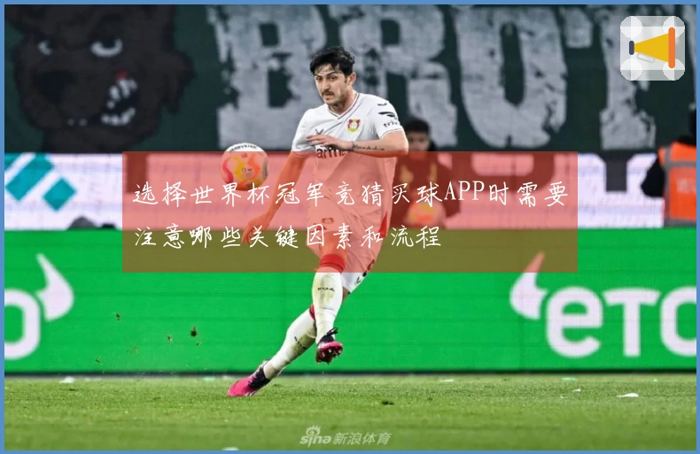 选择世界杯冠军竞猜买球APP时需要注意哪些关键因素和流程