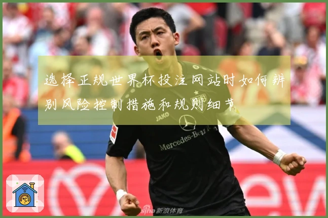 选择正规世界杯投注网站时如何辨别风险控制措施和规则细节