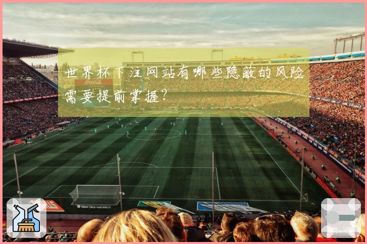 世界杯下注网站有哪些隐蔽的风险需要提前掌握？