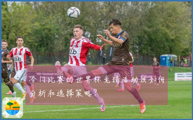 冷门比赛的世界杯竞猜活动该如何分析和选择策略？