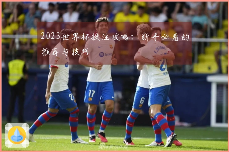 2023世界杯投注攻略：新手必看的推荐与技巧