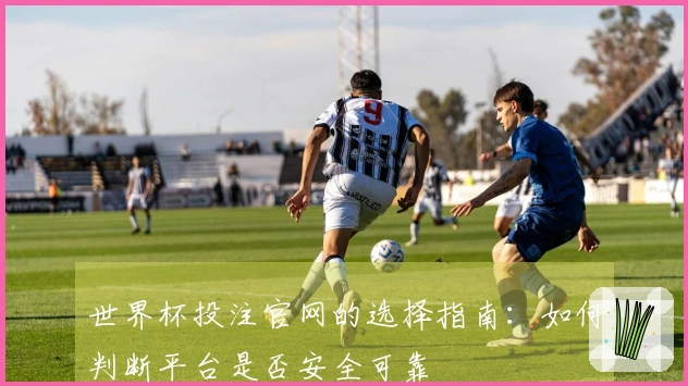 世界杯投注官网的选择指南：如何判断平台是否安全可靠