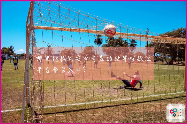 哪里能找到安全可靠的世界杯投注平台登录入口？