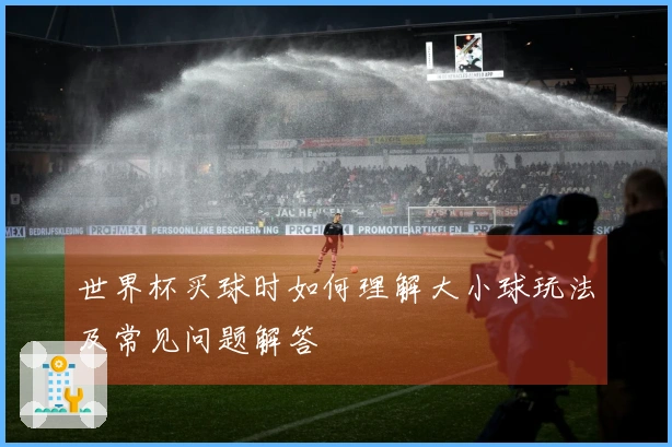 世界杯买球时如何理解大小球玩法及常见问题解答