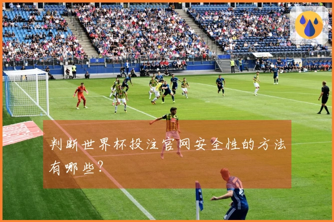 判断世界杯投注官网安全性的方法有哪些？