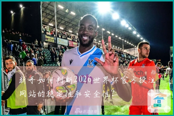 新手如何判断2026世界杯官方投注网站的稳定性和安全性？