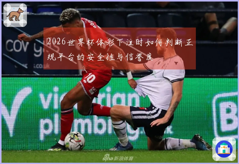 2026世界杯体彩下注时如何判断正规平台的安全性与信誉度