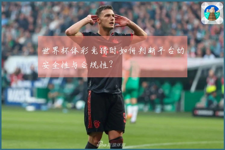 世界杯体彩竞猜时如何判断平台的安全性与合规性？