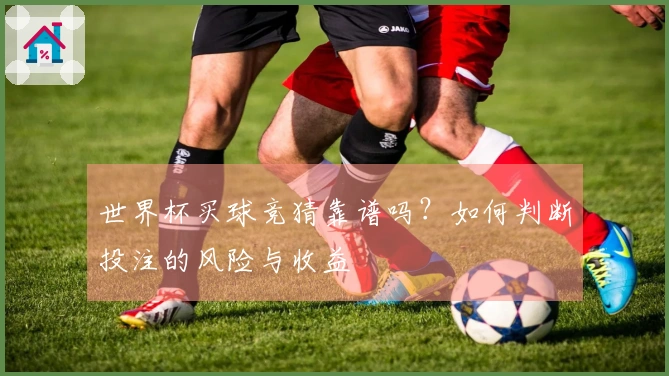 世界杯买球竞猜靠谱吗？如何判断投注的风险与收益