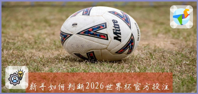 新手如何判断2026世界杯官方投注网站的稳定性和安全性？