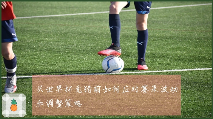 买世界杯竞猜前如何应对赛果波动和调整策略