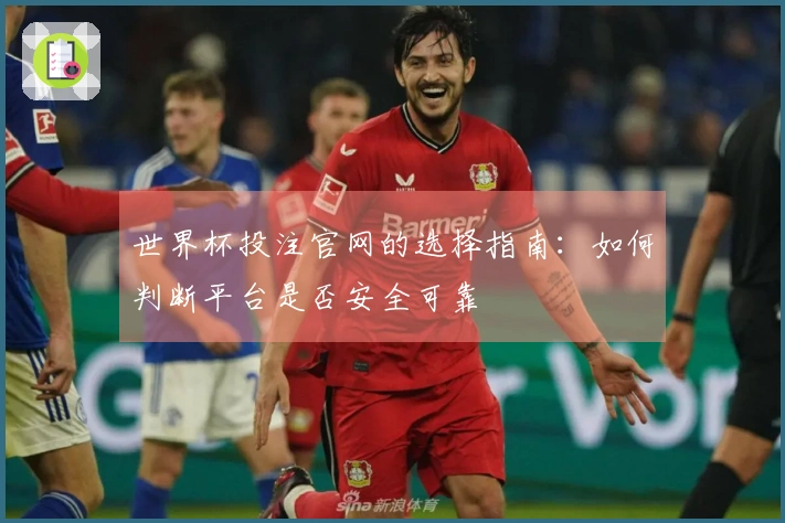 世界杯投注官网的选择指南：如何判断平台是否安全可靠