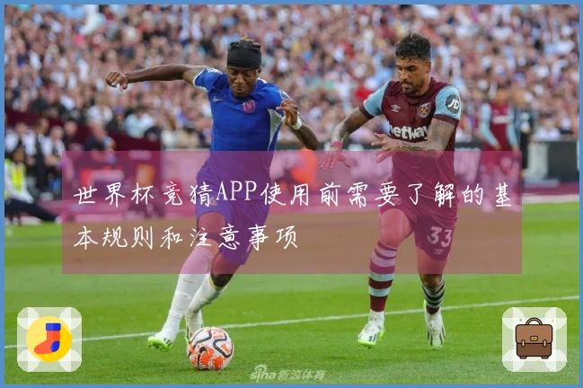 世界杯竞猜APP使用前需要了解的基本规则和注意事项