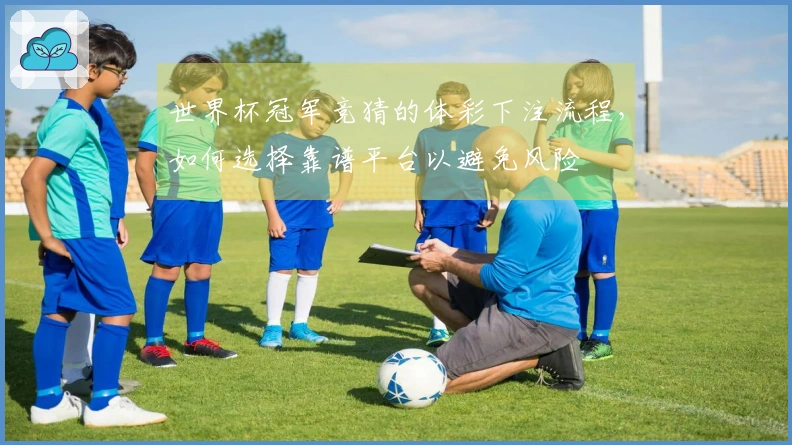 世界杯冠军竞猜的体彩下注流程，如何选择靠谱平台以避免风险