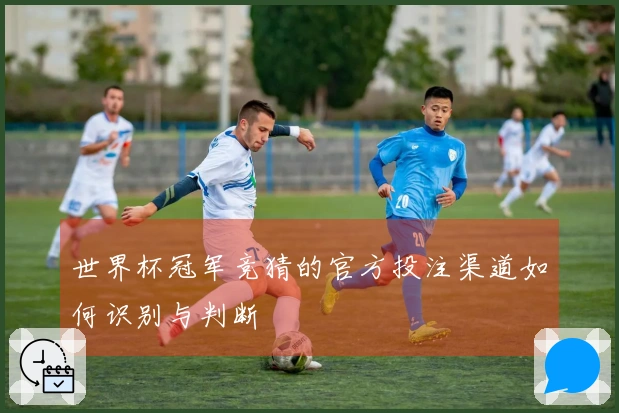 世界杯冠军竞猜的官方投注渠道如何识别与判断