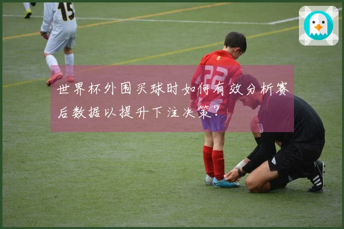 世界杯外围买球时如何有效分析赛后数据以提升下注决策？