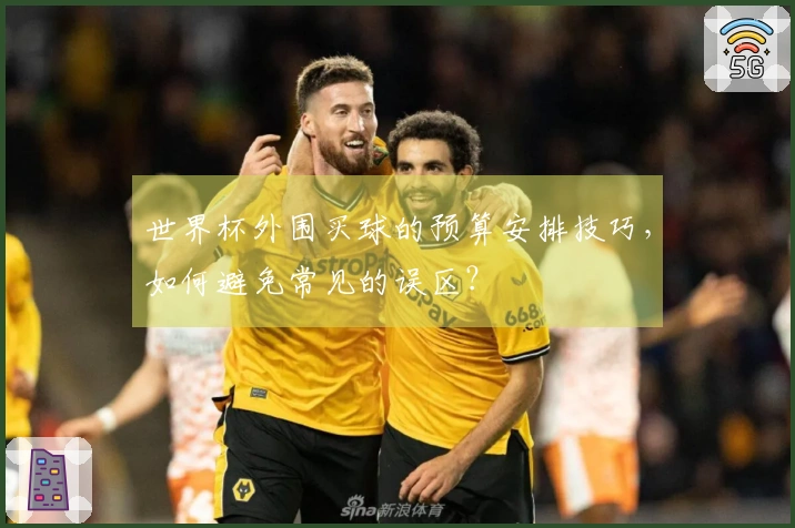 世界杯外围买球的预算安排技巧，如何避免常见的误区？